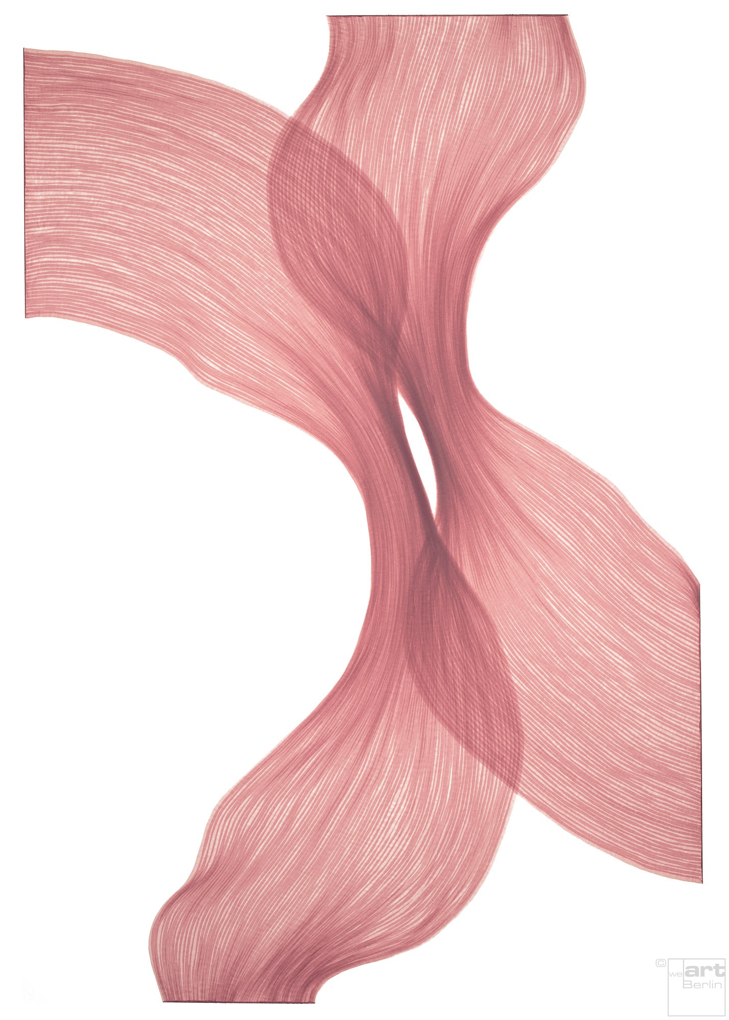 Raspberry Cream Sheer Folds | Lali Torma | Zeichnung | Kalligraphietusche auf Papier