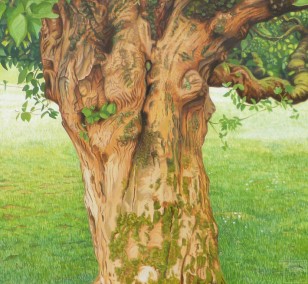 Lebensbaum | Malerei von Sven Wiebers | Acryl auf Baumwolle, realistisch