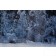 Black Forest - White Wood, Detail | Fotografie von Finkbeiner & Salm, Lambda-Fotodruck auf Alu-Dibond, limitierte Edition