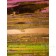 Prisma 13 - Pinker Nil | Malerei von Lali Torma | Acryl auf Leinwand, abstrakt, Detail 5