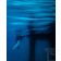 Oceans 3 | Fotografiecollage von Finkbeiner & Salm, Direktdruck auf Alu-Dibond, limitierte Edition 50+2