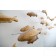 Forellenschwarm (aus 3) | Künstler Marek Schovanek | Fisch Plastiken aus Holz, Beispielansicht der Befestigung der Installation an der Wand