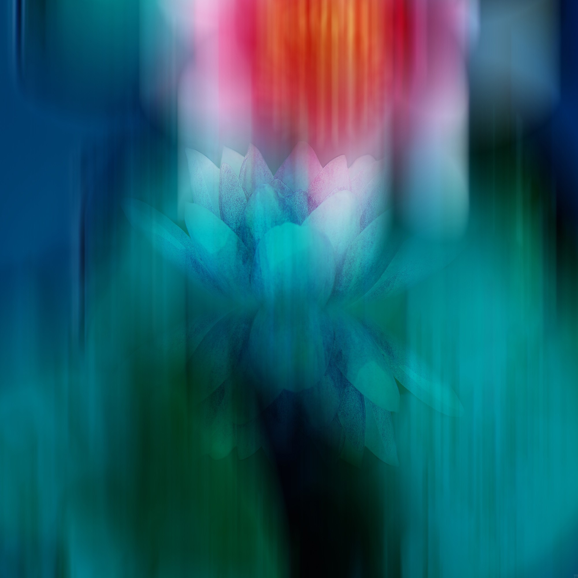 Mysterious Lotus | Fotografie von Theresa Lambrecht, Direkter Fotodruck auf Alu-Dibond, Butlerfinish, limitierte Edition