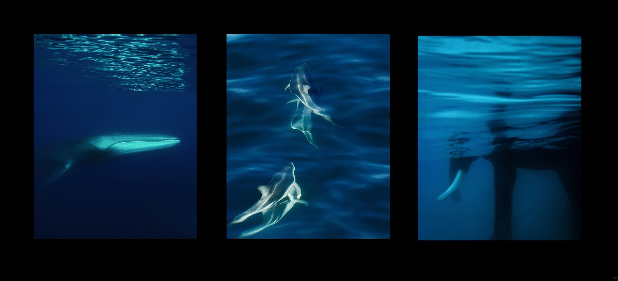 Oceans 1 - 3 | Fotografiecollage von Finkbeiner & Salm, Direktdruck auf Alu-Dibond, limitierte Edition 50+2 - 02