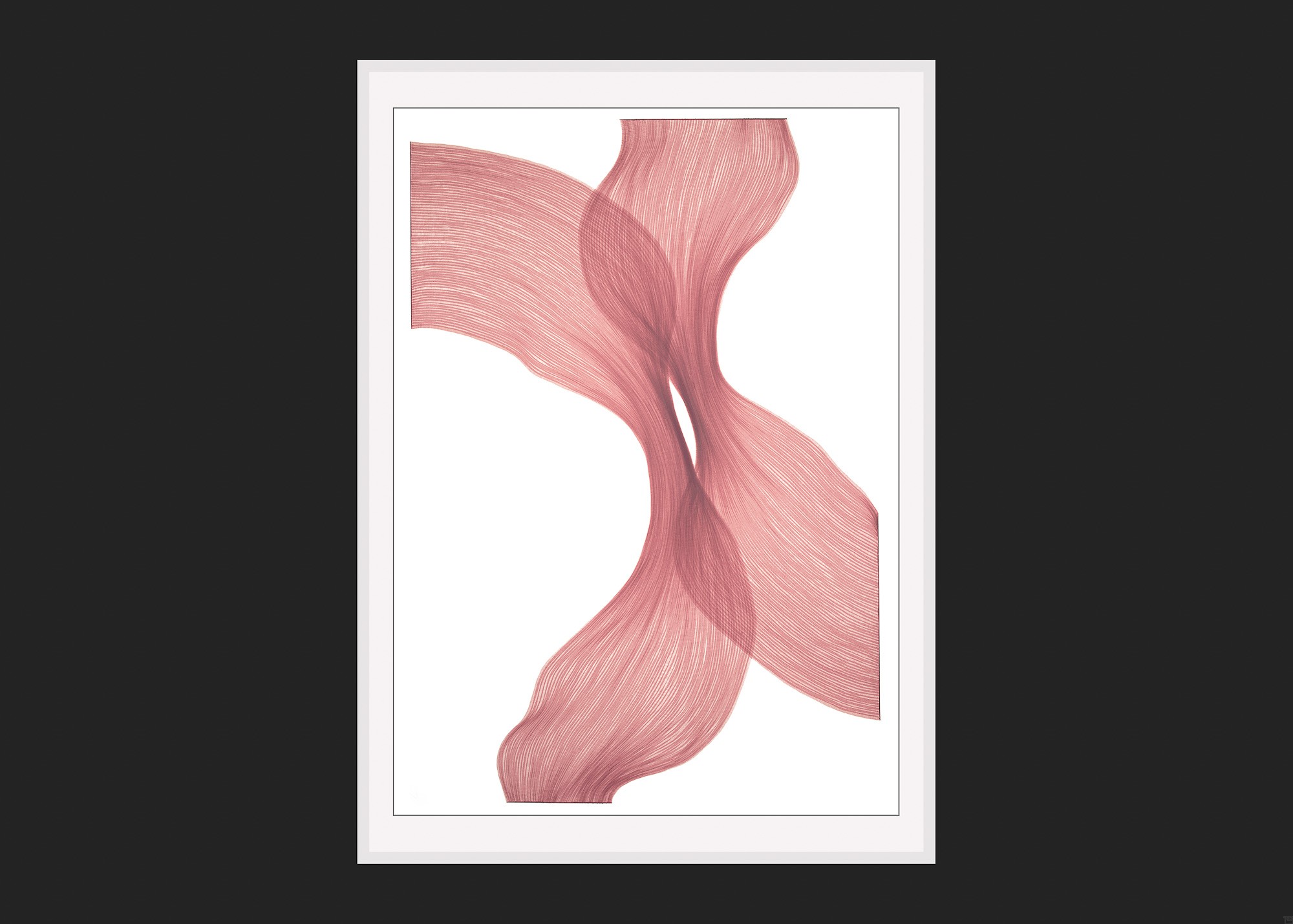 Raspberry Cream Sheer Folds | Lali Torma | Zeichnung | Kalligraphietusche auf Papier - 2