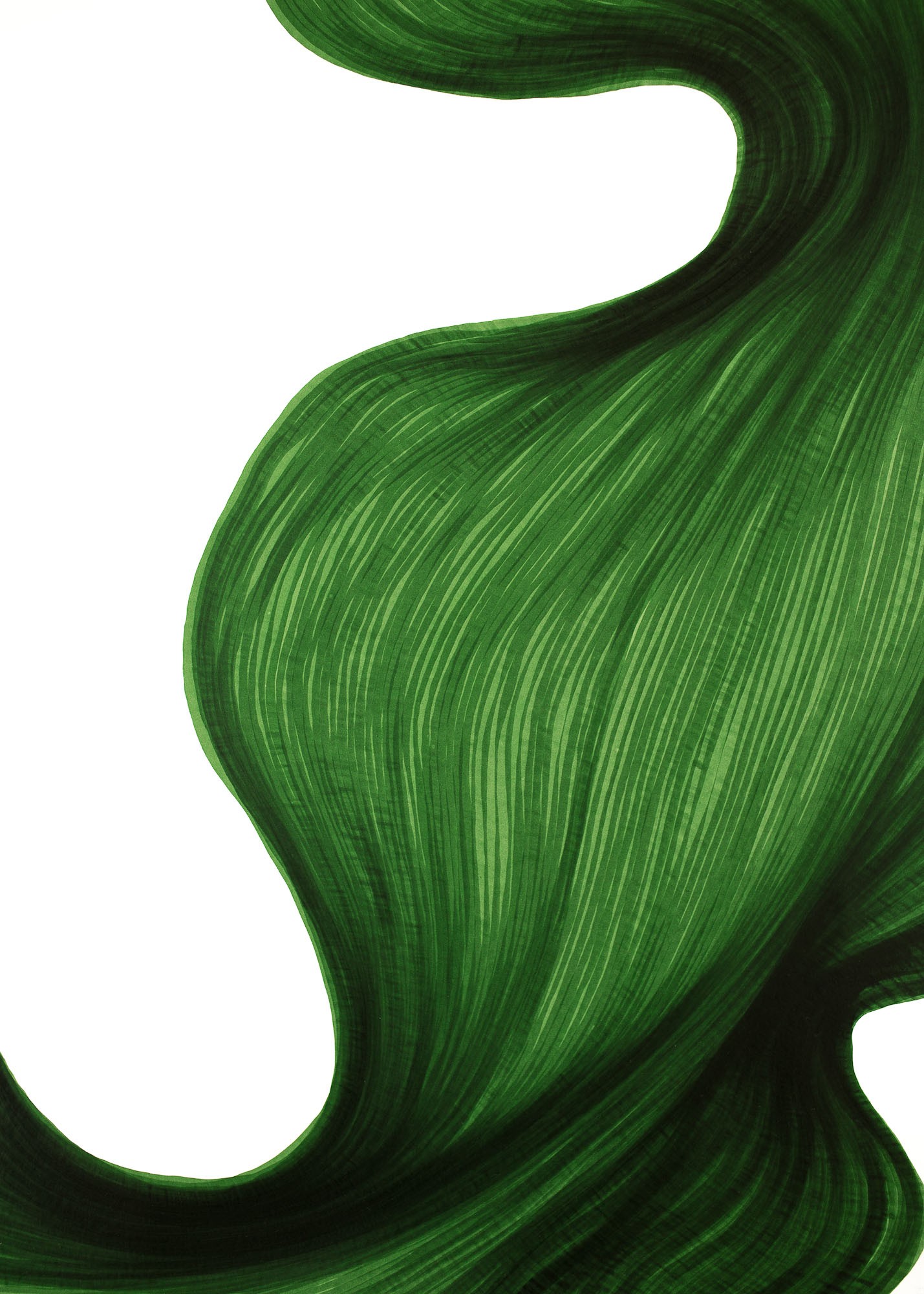 Deep Green Bend | Lali Torma | Zeichnung | Kalligraphie Tinte auf Papier - Detail 2