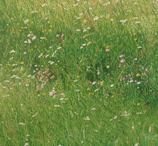 Big Meadow | painting by Sven Wiebers | acrylic on cotton, realistic art