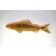 Wandinstallation Forellenschwarm (aus 5) | Künstler Marek Schovanek | Einzelansicht Fisch-Plastik 5 aus Holz