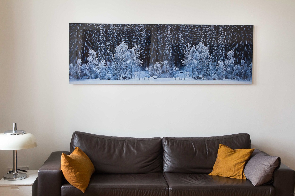 Black Forest - White Wood, room view | photography by Finkbeiner & Salm, photo print on Aluminium Dibond, edition