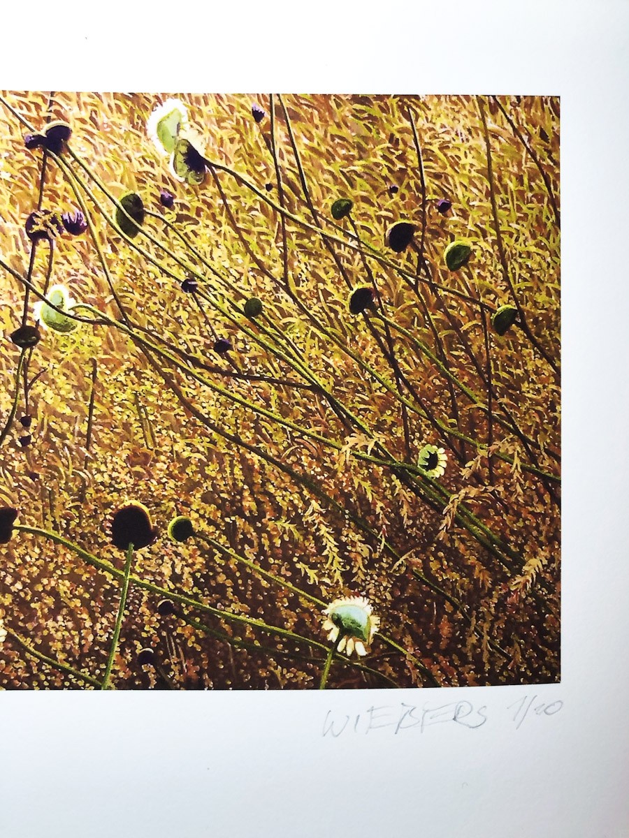 Kunstdruck "Korbbluetler" by Wiebers | Fineartprint Hahnemühle, Limitierung 10 - Detail3