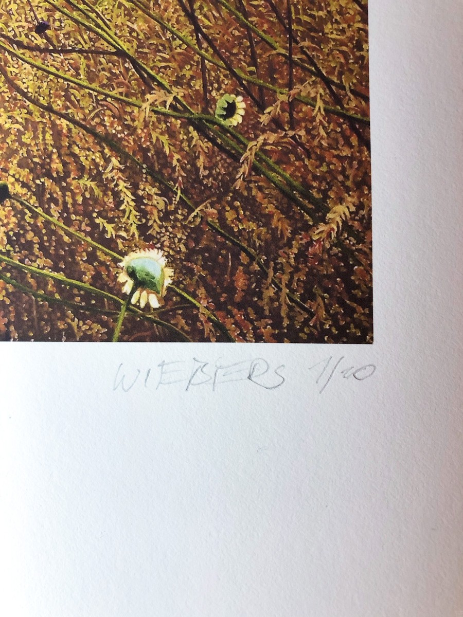Kunstdruck "Korbbluetler" by Wiebers | Fineartprint Hahnemühle, Limitierung 10 - Detail4