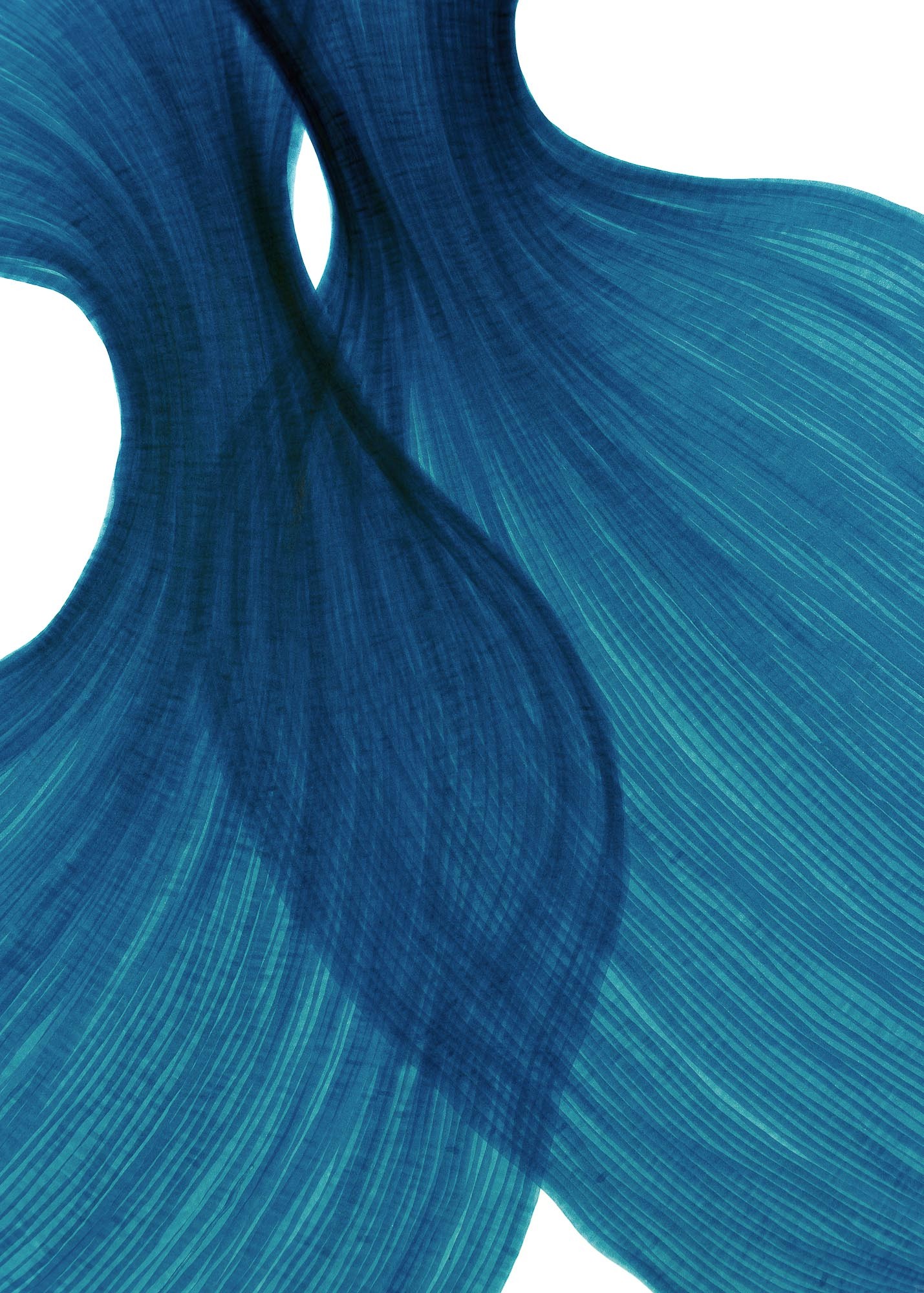 Sea Blue Sheer Folds | Lali Torma | Zeichnung | Kalligraphietusche auf Papier - 2