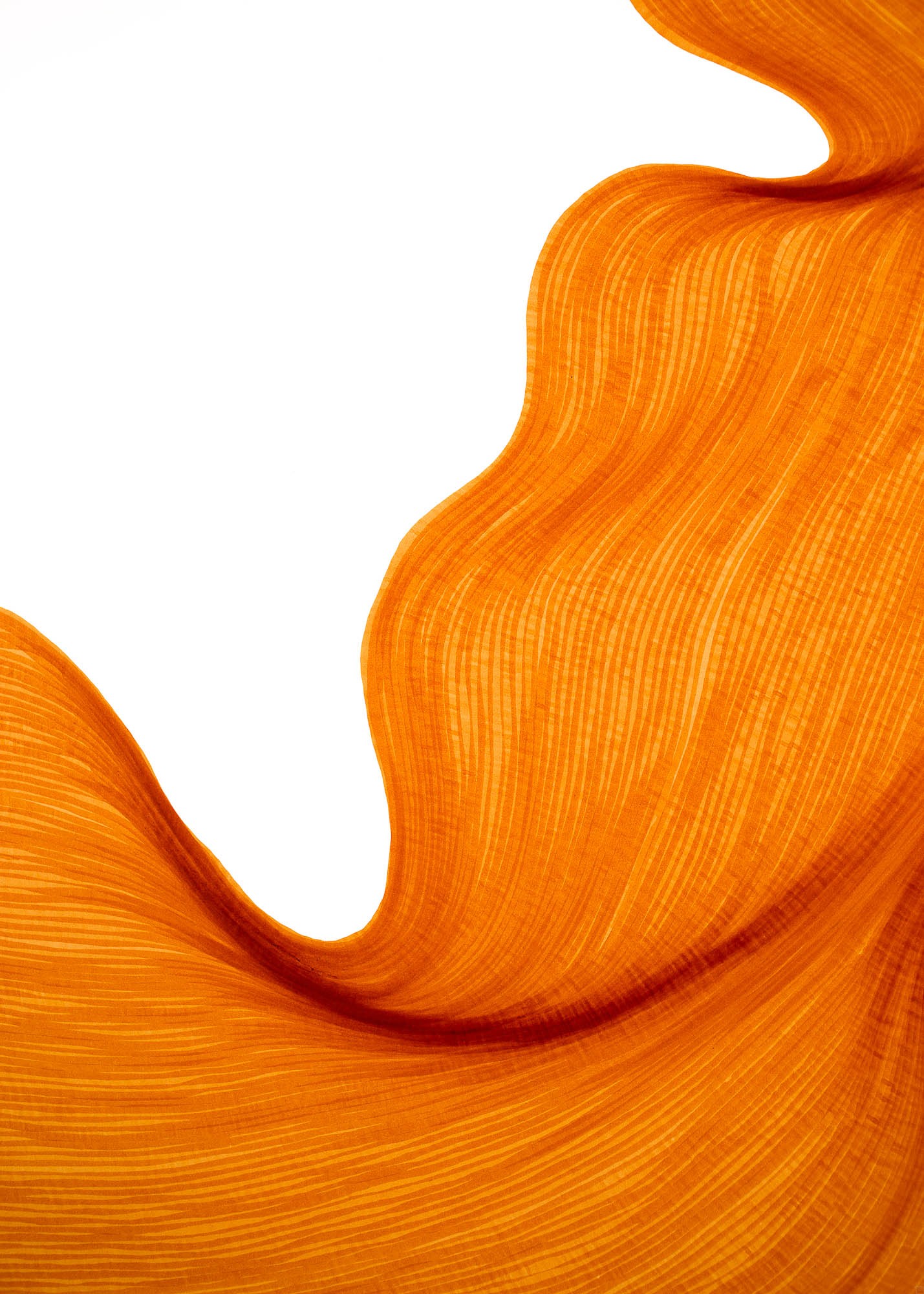 Bubbly Orange | Lali Torma | Zeichnung | Kalligraphie Tinte auf Papier - Detail